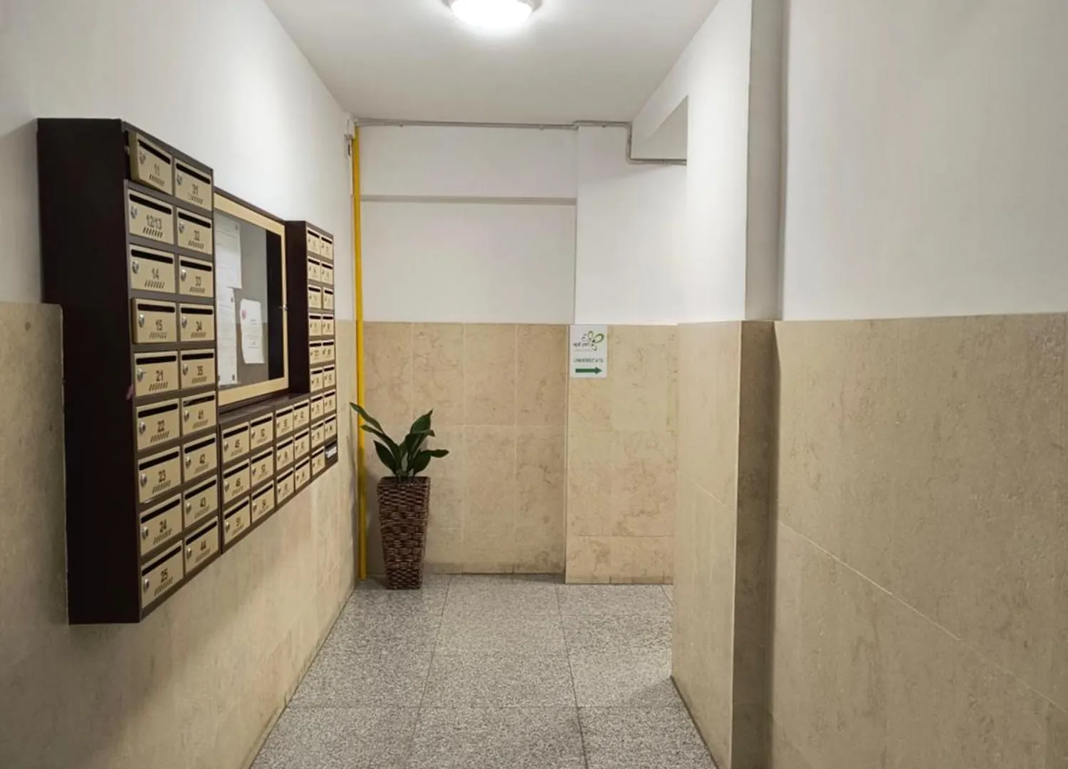 Downtown Forest Boutique Bucharest